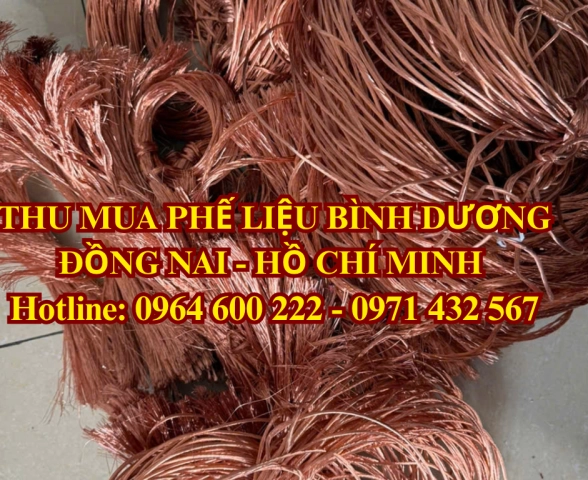THU MUA ĐỒNG PHẾ LIỆU GIÁ CAO | HCM - ĐỒNG NAI | BÌNH DƯƠNG