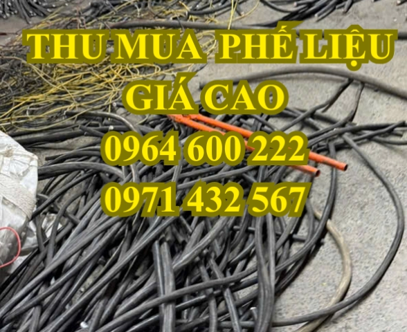 THU MUA DÂY ĐIỆN PHẾ | DÂY MẠNG CÁP | DÂY ĐIỆN ĐỒNG | MÁY ĐIỆN CÔNG NGHIỆP