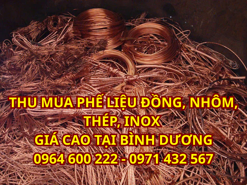 THU MUA PHÊ LIÊU BINH DUONG