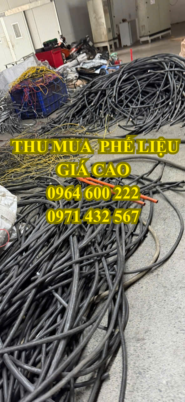 THU MUA DÂY ĐIỆN PHẾ
